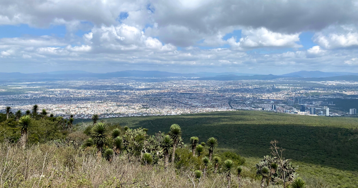 view of queretaro from the top of el cimatario